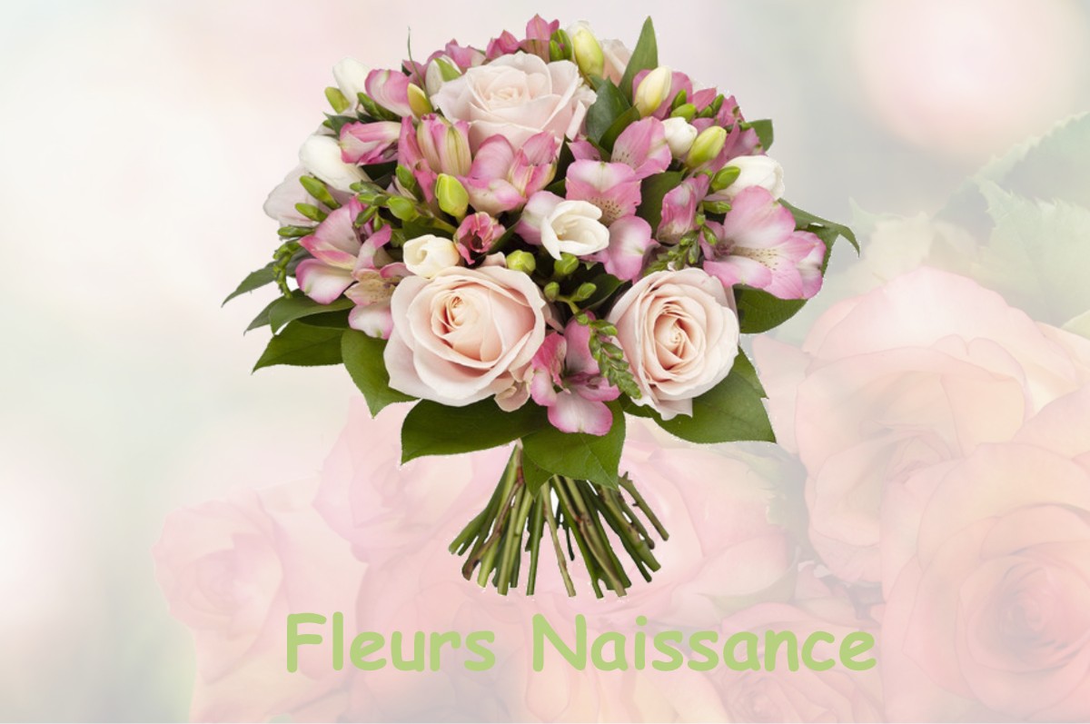 fleurs naissance SAINT-LAURENT-DE-LA-SALANQUE